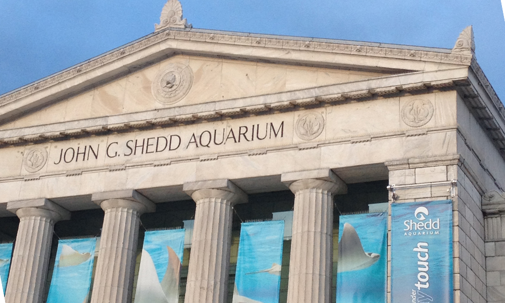 Sheed Aquarium Chicago