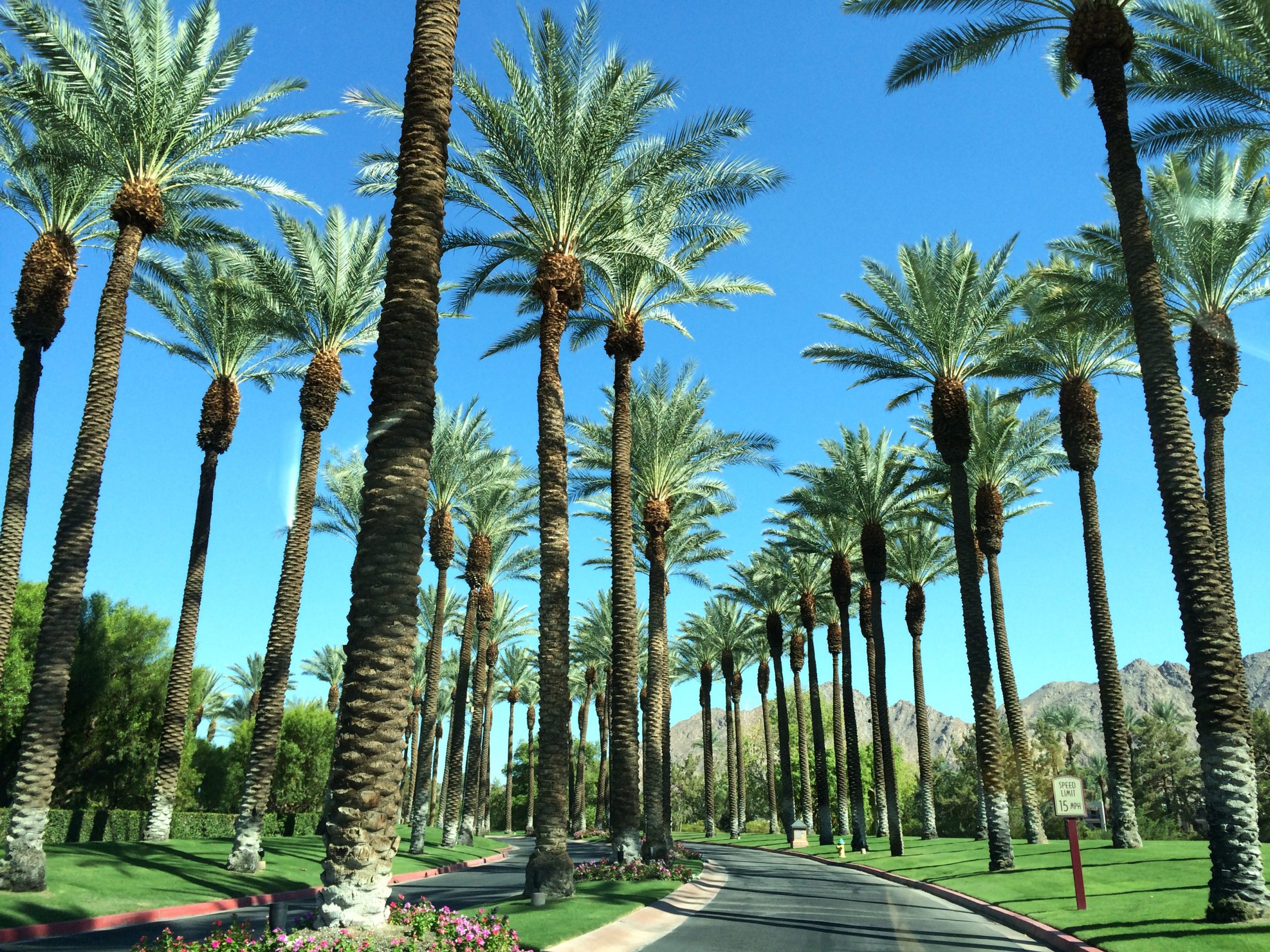 10 of the best things to do in Palm Springs, California