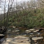 BlueRidge Parkway scenery