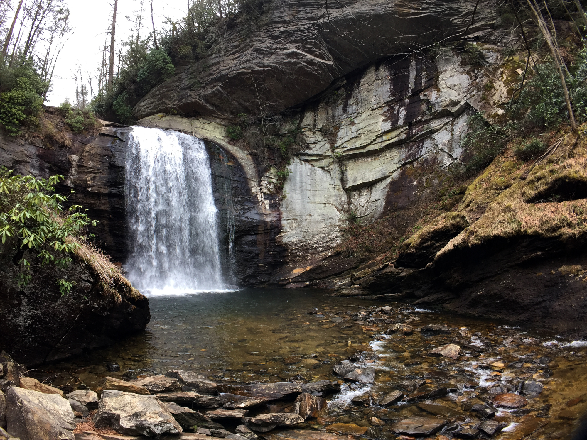 Looking Glass Falls Asheville