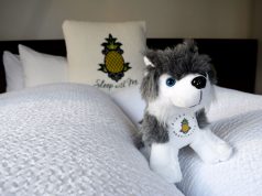 Our Stay at the Alise Chicago