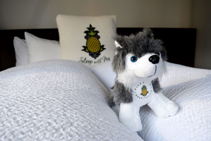 Our Stay at the Alise Chicago