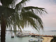 Exploring the Beauty of Pescadero and La Paz in Mexico