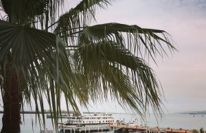 Exploring the Beauty of Pescadero and La Paz in Mexico