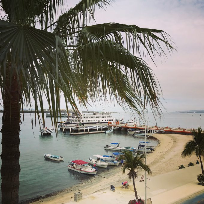 Exploring the Beauty of Pescadero and La Paz in Mexico