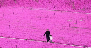 The Langham Hotels and Resorts #InThePink Campaign Spreads Positivity The Langham Hotels #InThePink