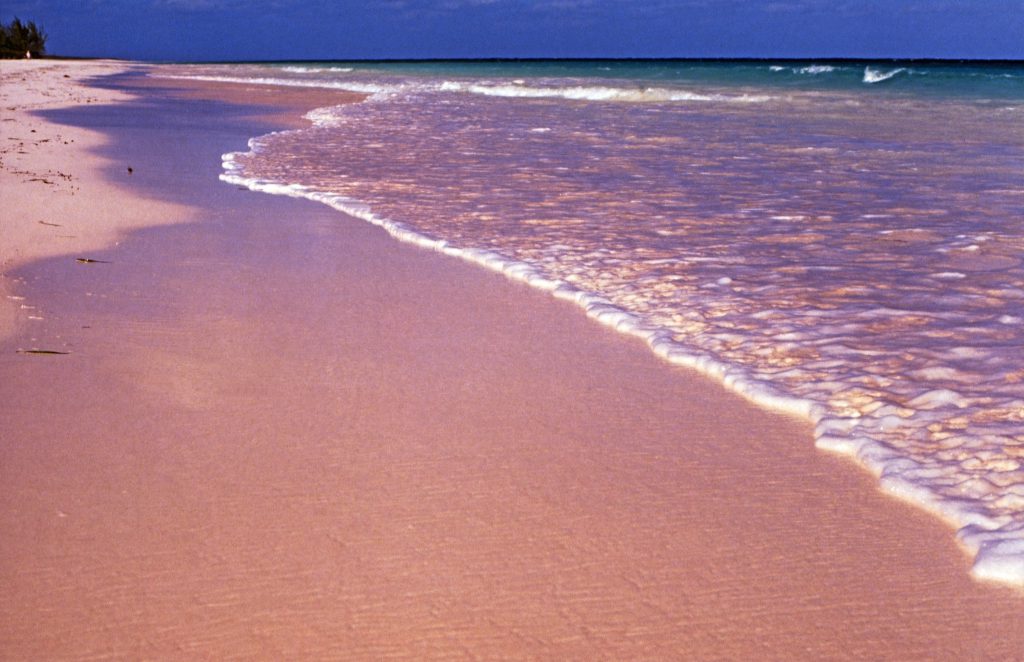Pink Sand Beach Harbour Island Bahamas 