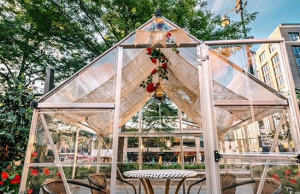 The Darling Chicago’s Greenhouses Feel As If You’re Dining in Amsterdam The Darling Rose Garden Greenhouses