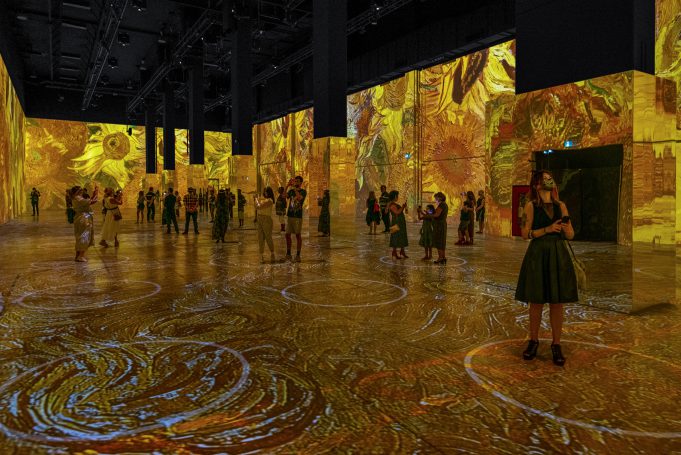 Download Immersive Van Gogh Exhibit Chicago Images