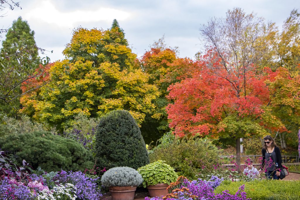 Chicago Botanic Garden fall