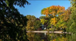 8 Unique Things to Do in Chicago This Fall Beautiful fall day in Chicago