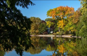 8 Unique Things to Do in Chicago This Fall Beautiful fall day in Chicago