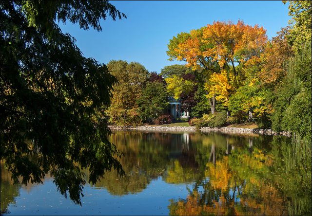 Beautiful fall day in Chicago