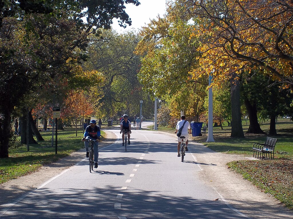 lake shore bike path chicago fall