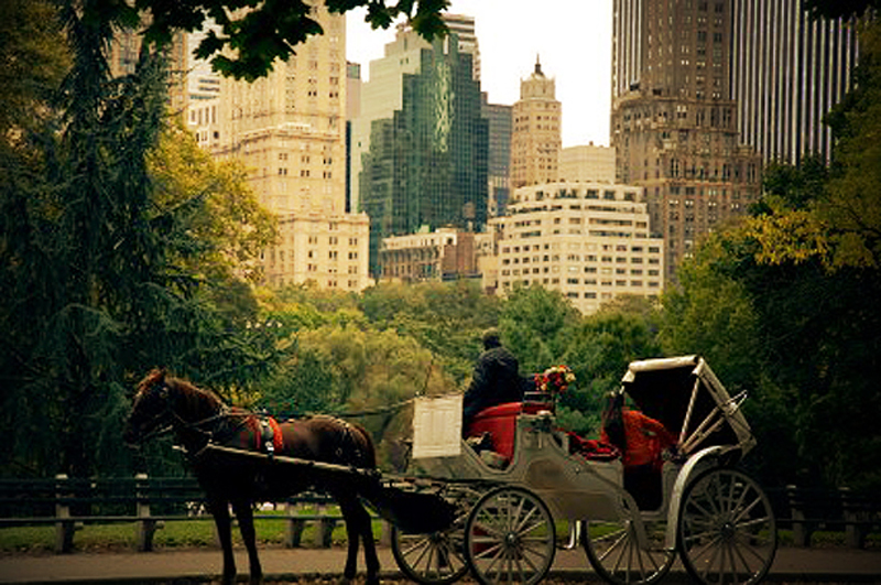 Romantic New York City