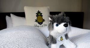 Our Stay at the Alise Chicago