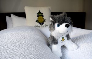 Our Stay at the Alise Chicago