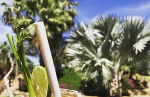 From Farm to Fork at Flora Farms