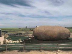 Stay in the Big Idaho Potato Hotel for Around $200 a Night Near Boise, Idaho Big Idaho Potato Hotel Airbnb